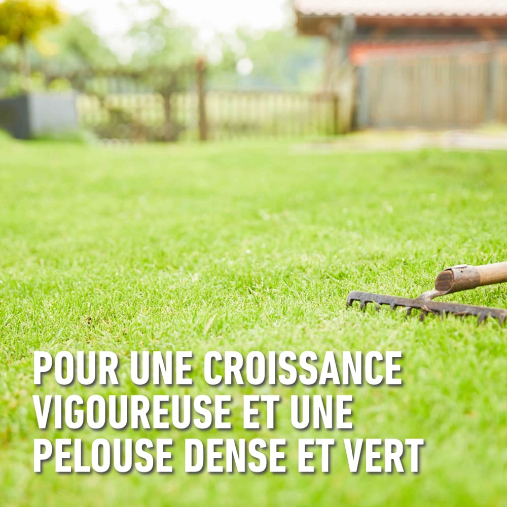 COMPO Amendement du Sol Gazon — free download